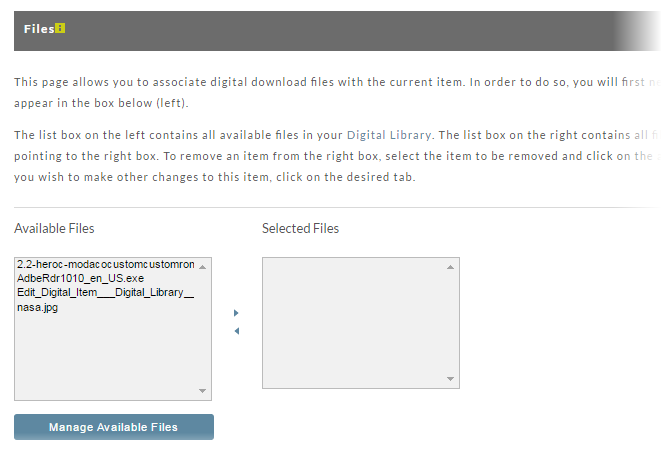 DigitalDeliveryFiles.png