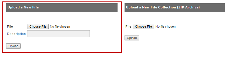 DigitalUploadNewFile.png
