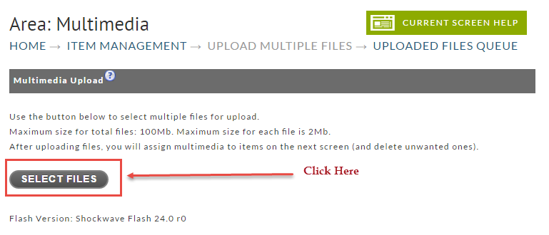 Multimedia Upload Screen.png