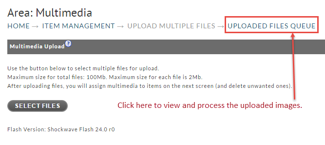 Uploaded Files Queue.png