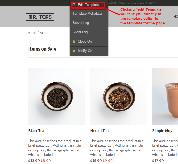 Developer Tools - Edit Template.PNG