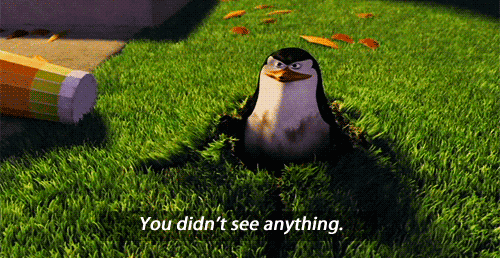 penguins_you_didnt_see_anything.gif