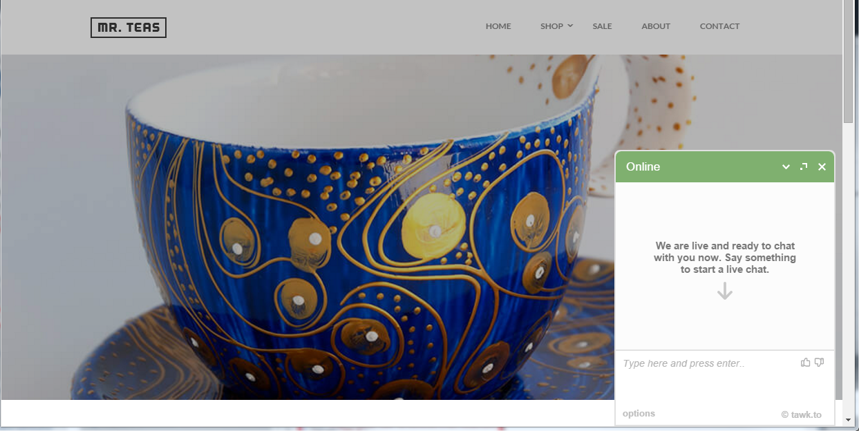 Preview-completed installation of tawkto chat.PNG