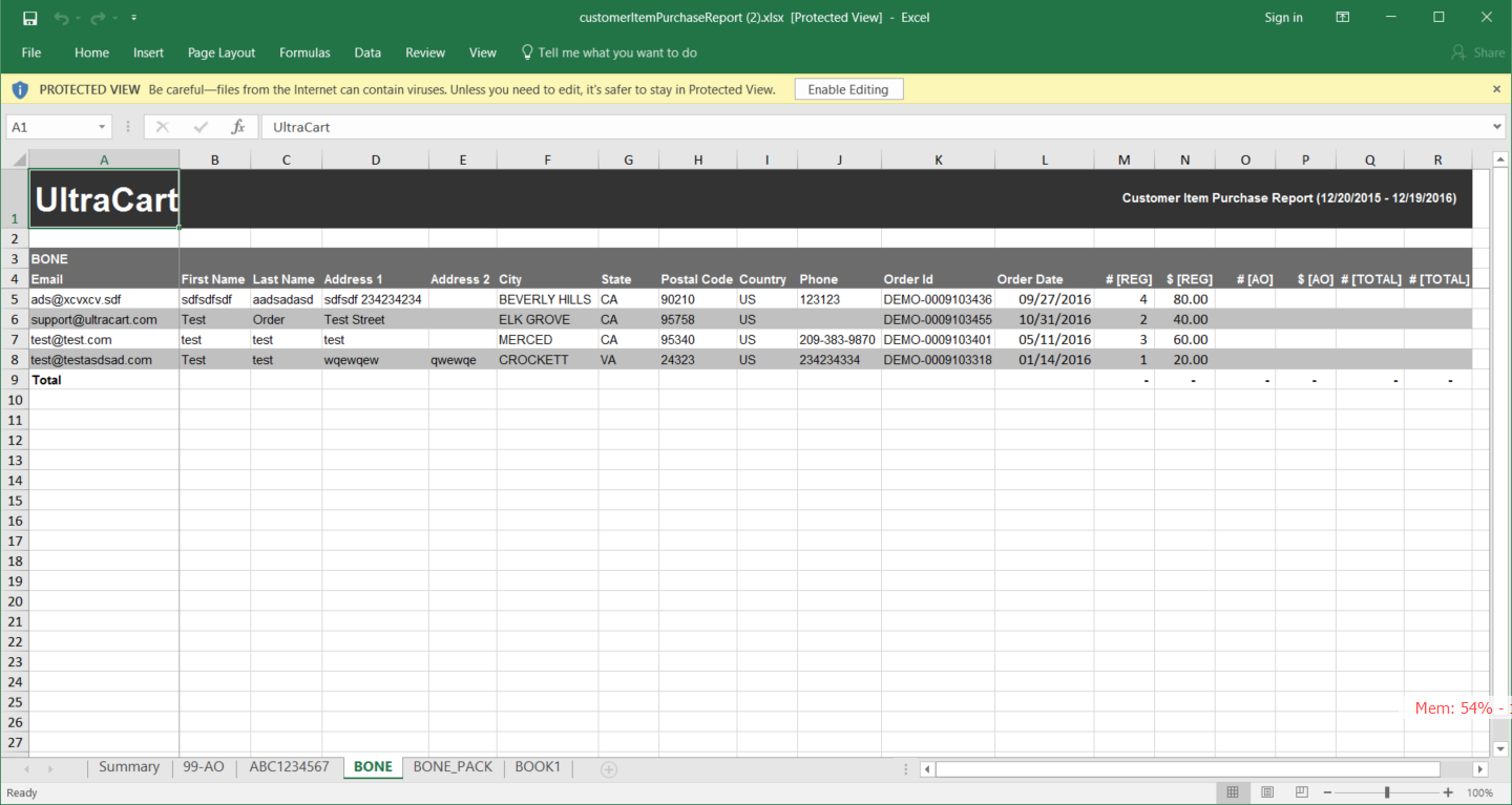 CustomerItemPurchase-spreadsheetview.PNG