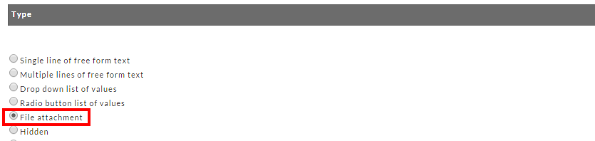 Option Editor - File Attachment.png