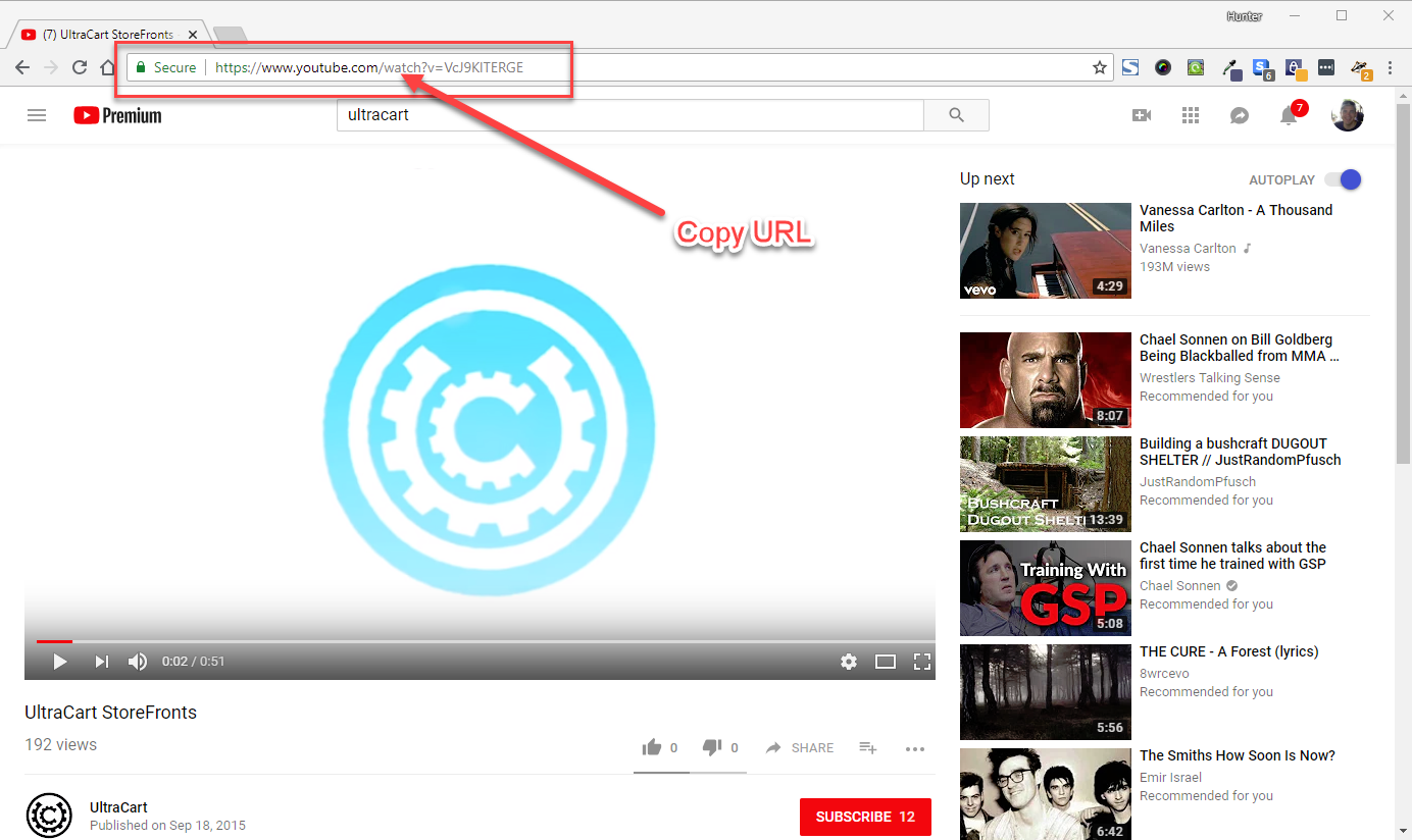 Copy youtube video url.png