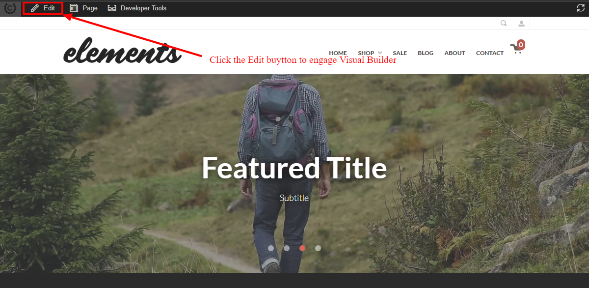 Edit-mode-visual-builder.PNG