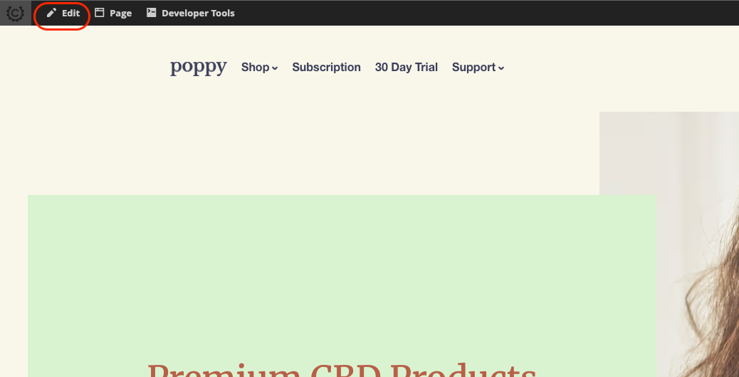 The storefront toolbar, with the Edit button highlighted